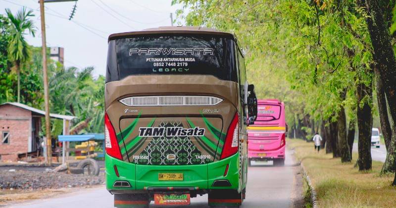 Unsplash/Jalal Kelink